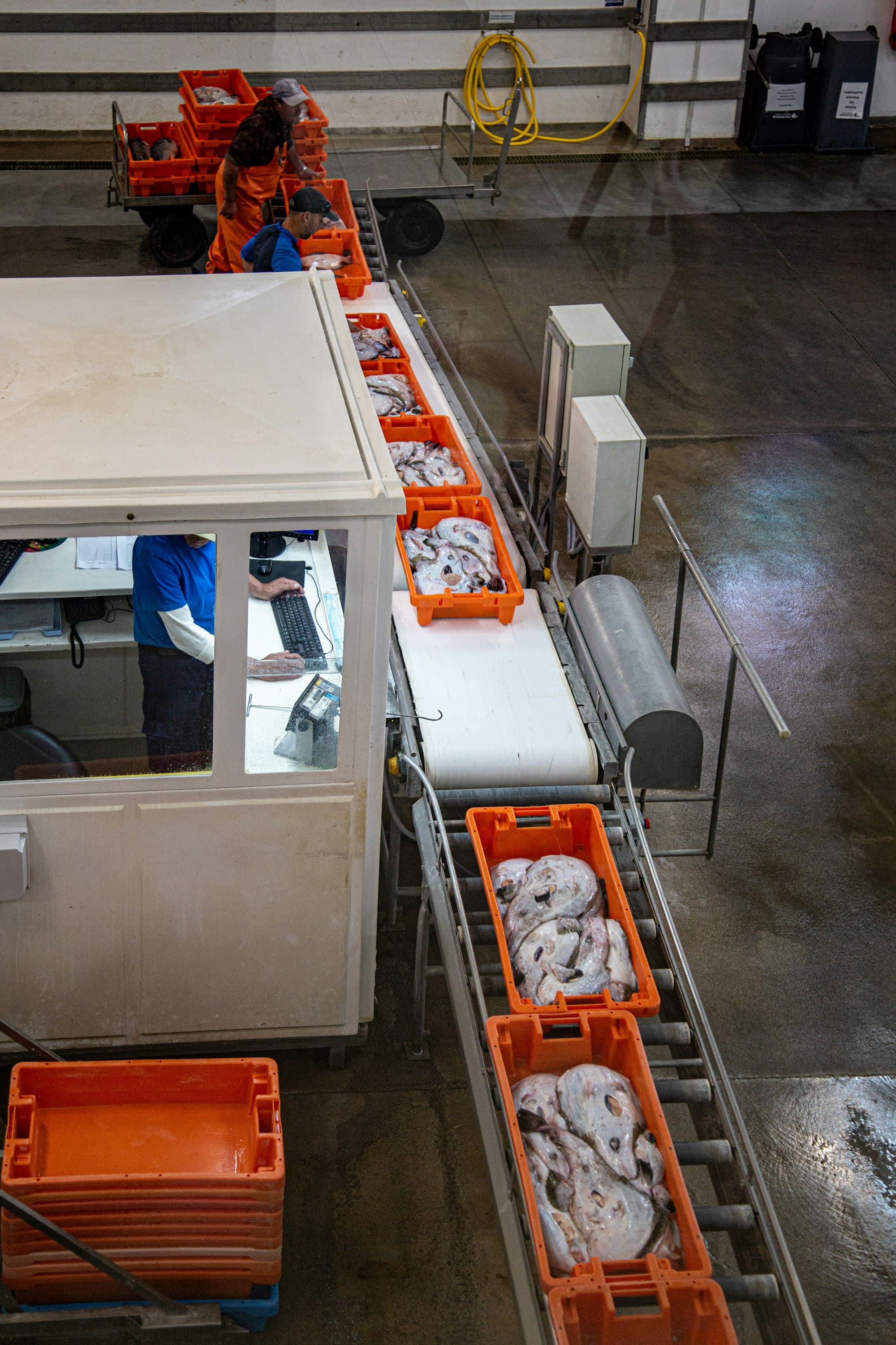 Food production and quality management